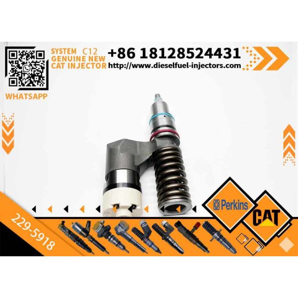 New Common Rail Fuel Injector 223-5328 229-5918 20R-0055 10R-0725 for C12 Diesel Engine