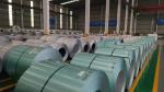COLOR Steel PPGI 0.09-0.7 Thickness TDC51D Prepainted Galvanized Steel Sheets