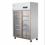 Refrigerated fresh food meat ice cream double door glass door refrigerated