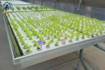 Flood Water Drain Grow Ebb And Flow Rolling Benches ABS Tray Hydroponic Planting
