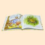 Full Color English Story Kids Book Printing Customized A4 Hardcover 40 Pages