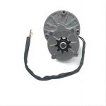 36 48v 24 Volt Dc Motor For Bicycle 250 350 500w 3000rpm