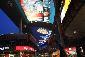 China P50 Full Color Led Strip Screen Advertising Transparent Led Display Screen factory