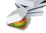Bagasse Burger 6 Inch Biodegradable Takeout Containers