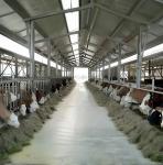 Metal Prefab Livestock Barns Customized Size Farmhouse Steel Building Earthquake