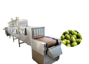 China 80KW Stainless Steel Food Sterilizer Machine Microwave Frequency For Beef Jerky factory