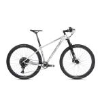 29er Carbon Fiber Trail Bike RAM SX EAGLE 12 Speed Groupset XC