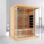 Indoor Luxury Spa Keep Body Health Steam and Infrared Sauna 1900W