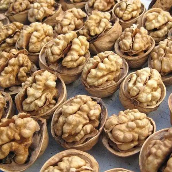 China Original Taste and Walnut Kernel for OEM Customization factory