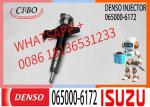 Diesel Fuel Injector 065000-6172 095000-6173 095000-6990 095000-6991 8-98055863