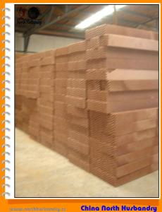 China North Husbandry -Evaporative Cooling Pad,Poultry Exhaust Fan,Poultry Farm Fan factory