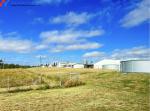 Onsite Inspection Piggery Shed Metal Farm Equipment Buildings