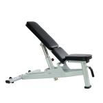 Freeman Commercial Gym Fitness Equipment Adjustable Modern Steel Sit-Up Bench