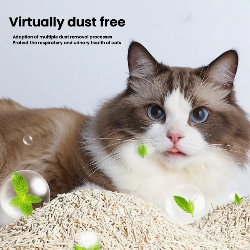 Pet Cat Product Fast Clumping Tofu Cat Litter Biodegradable Bulk Clumping Flushable