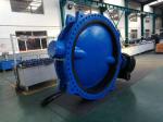 BS EN10092-2 DI ductile iron cf8m ss316 china pn16 double flanged butterfly
