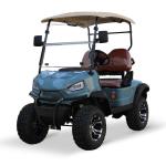 400-500kg Curb Weight 2024 Custom Design Luxury Lifted 2 Passenger Electric Golf