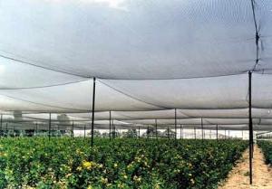 China High Strength Anti Hail Agriculture Net , Hdpe Raschel Knitted Netting on sale