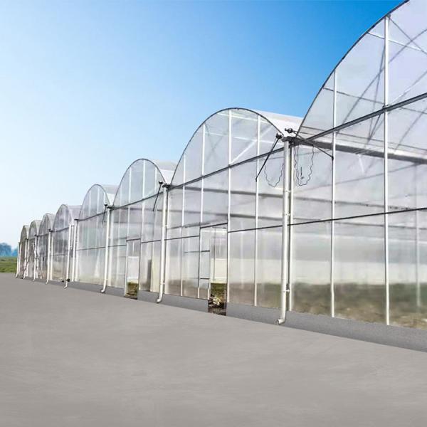 China Agricultural Farm Multispan Polycarbonate Panels Greenhouse with Shading System factory