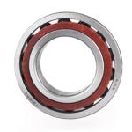 110bar10styndblp4a; 110bar10htyndblp4a Angular Contact Ball Bearings Missile