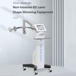 6D Diode Laser 532nm Ultrasound Weight Loss Machine 1-200mw Air Cooled