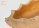 Boat Shape Frosted Gold Fiberglass Flower Serving Bowl For Home Wedding