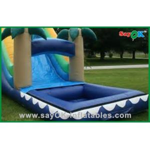 Commercial Water Park Inflatable Bouncer Slide With Full Printing Inflatable