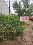 Automatic Hinge Joint Grassland Cattle Deer Hourse Fence Machine