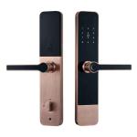 Digital Password Apartment Smart Door Lock TTLock Fingerprint IC Card Access