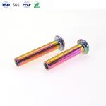 Custom Pin Shaft Screws Pan Head Stainless Hex Head Screws PVD Surface Treatment