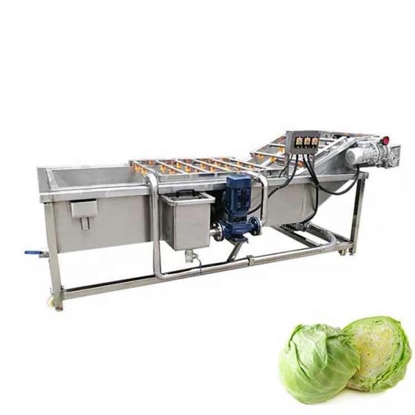 Vegetable Crayfish Avocado Chili Pepper Date Air Bubble Washing Machine 600KG