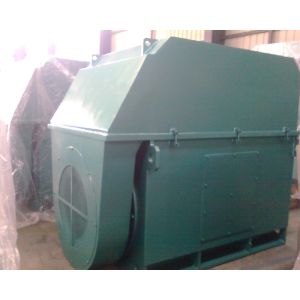 6KV high voltage three-phase asynchronous motor