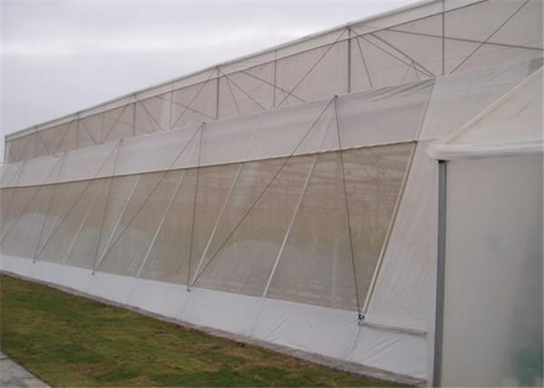Anti-Insect, Anti -Hail Mesh Netting, Agriculture, Crop Cover Netting, Fruit