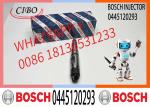 High Performance Diesel Engine Parts 0445120293 Fuel Injector 0 445 120 293