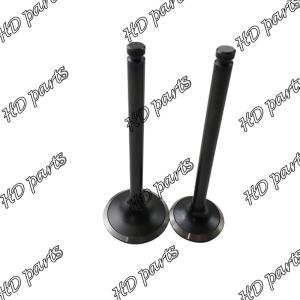 China FD46 IN Engine Piostion Valve 13201-01T00 EX 13202-01T00 For Nissan factory