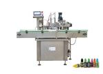 Touch Screen Plastic Bottle Filling Machine Peristaltic Pump / Piston Pump