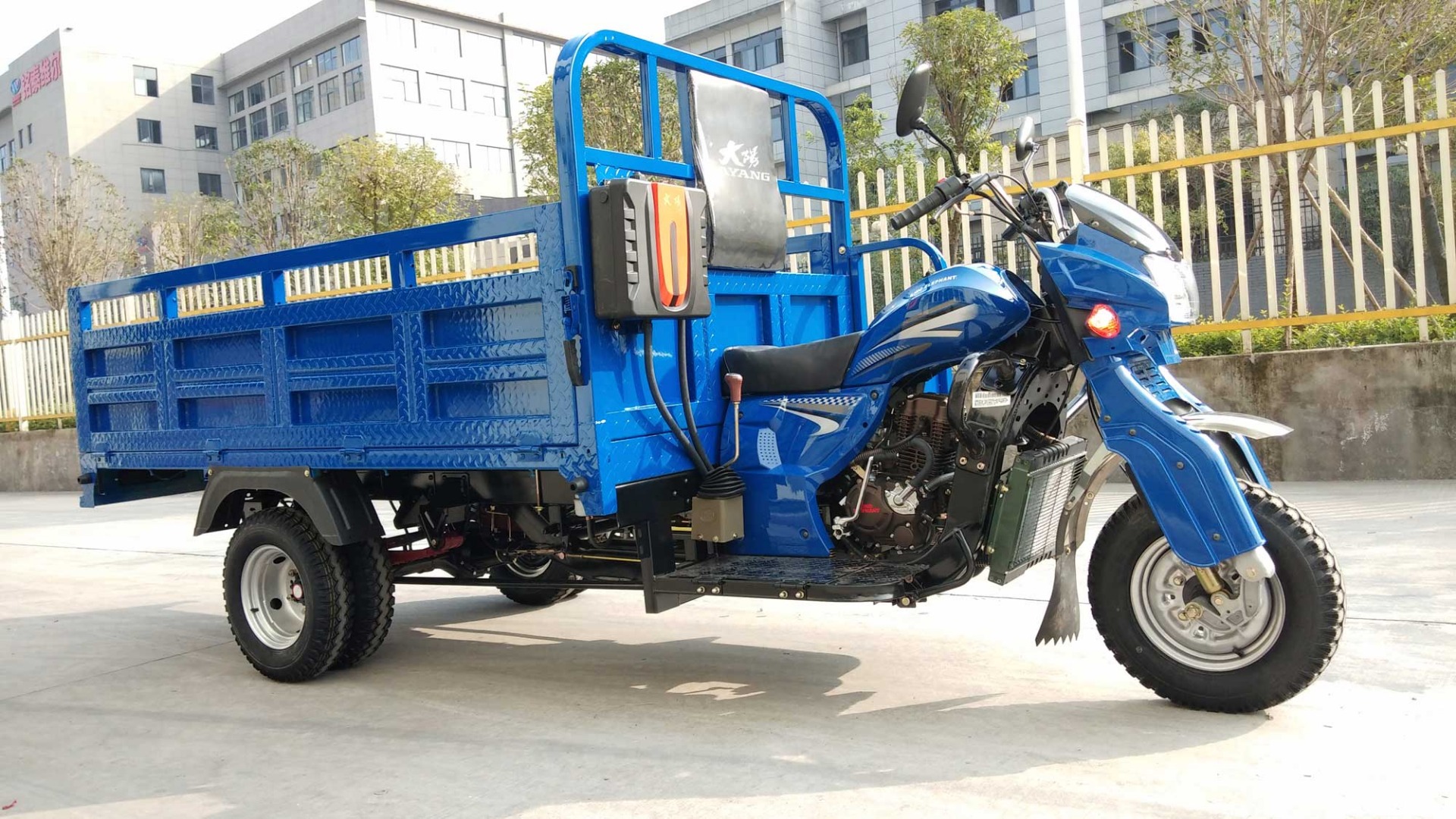 Myanmar Tricycle 250cc Three Wheel Motorcycle with Air Cooled 201 cc Engine