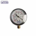 Mbar Kpa General Steel Capsule Pressure Gauge 100mm OEM ODM OBM Customized