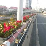 Wall Pallet Included PVC Planter Box for Outdoor Finishing Not Coated Overpass