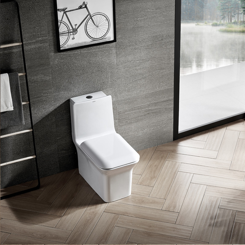 Dual Flush Elongated One Piece Commode Seat Included