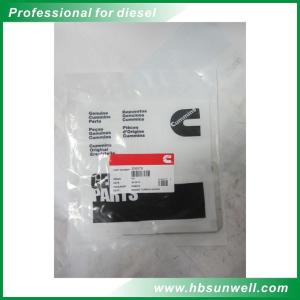 China Cummins engine Turbo Mounting Gasket CCEC KTA19 KTA38 206576 205396 factory