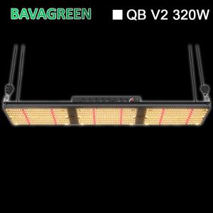 China SAMSUNG LM301B Chips BAVA Quantum Board 320w Greenhouse Grow Lamps 816umol/s factory