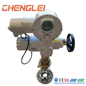 Industrial 24V/12V DC Waterproof Electric Linear Actuator with IP65/IP67/IP68