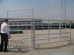 Farm Iron Welded 1.5m Height Livestock Fence Panels