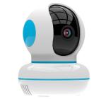 Indoor PTZ Professional Ip Video Camera Mini Wireless Smart Full Hd Wifi