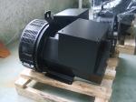 2 pole alternator 3000rpm brushless generator 50HZ single phase generator