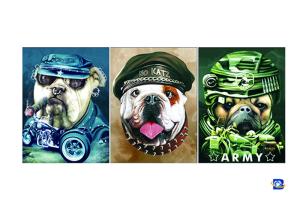 China PET / PP Animal Print Lenticular Posters For Home Decoration SGS factory