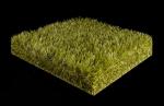 UV Resistance Football Field Artificial Turf Grass