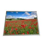 Resolution 1024*768 G150XTN03.4 60Hz Industrial LCD Display