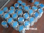 Durable ASTM ASME Annealed Forged Steel Flange Fully Machined High Hardness