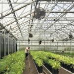 Blackout System Polycarbonate Greenhouse Light Deprivation PC Greenhouse